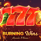 Slot Gacor Burning Wins