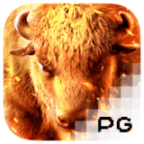Slot Gacor Buffalo Win