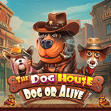 Link Slot88 Gacor The Dog House – Dog Or Alive