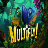 Slot Gacor Multifly!